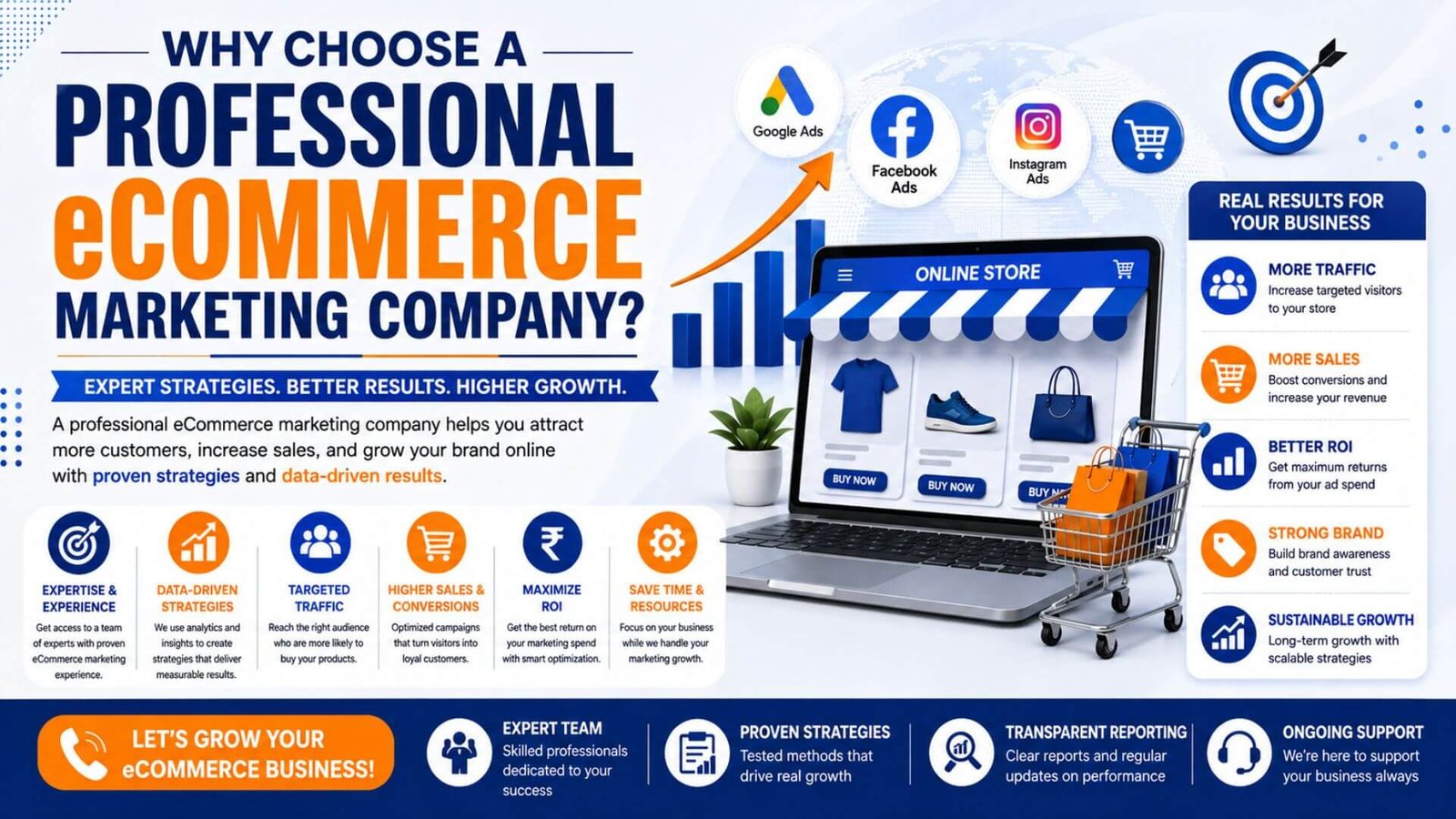 Why Choose a Professional eCommerce Marketing Company Why Choose a Professional eCommerce Marketing Company